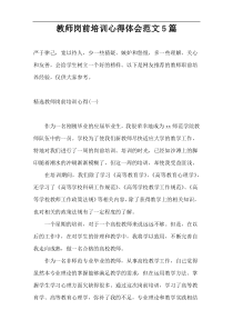 教师岗前培训心得体会范文5篇