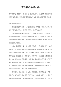 青年教师教学心得