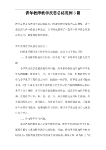 青年教师教学反思总结范例3篇