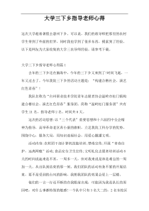 大学三下乡指导老师心得