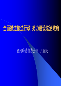 全面推进依法行政努力建设法治政府