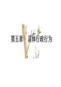 具体行政行为