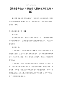 【精推】专业实习报告范文样例汇聚【实用4篇】