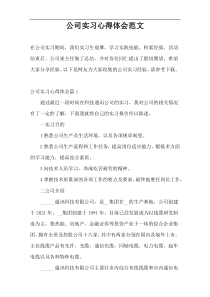 公司实习心得体会范文