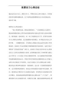 核算实习心得总结