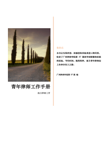 青年律师工作手册（PDF82页）