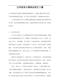 公司实训心得体会范文3篇