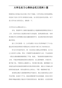 大学生实习心得体会范文范例3篇