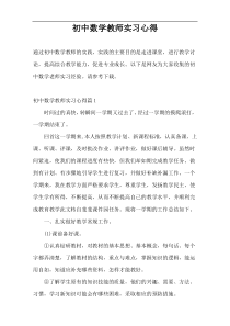 初中数学教师实习心得