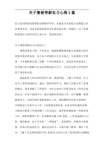 关于暑假带薪实习心得3篇