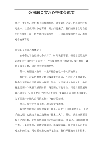 公司职员实习心得体会范文