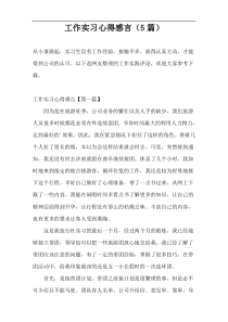 工作实习心得感言（5篇）