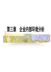 B3企业内部环境分析(本科-3)