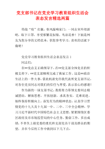 党支部书记在党史学习教育组织生活会表态发言【精选两篇】