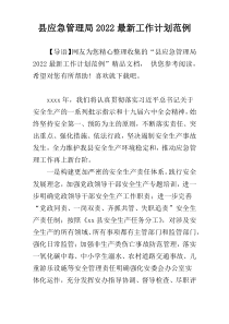 县应急管理局2022最新工作计划范例