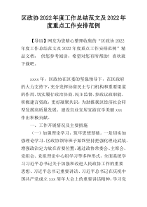 区政协2022年度工作总结范文及2022年度重点工作安排范例