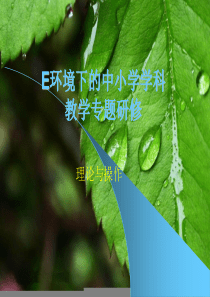 E环境下的中小学学科