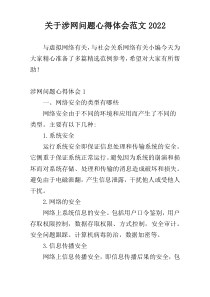 关于涉网问题心得体会范文2022