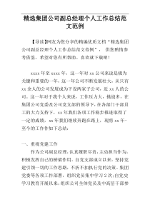 精选集团公司副总经理个人工作总结范文范例