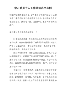 学习委员个人工作总结范文范例