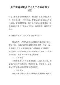 关于财务部新员工个人工作总结范文2022