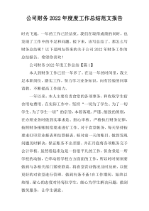 公司财务2022年度度工作总结范文报告