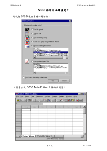 SPSS操作介面环境简介