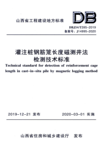 DBJ04∕T 395-2019 灌注桩钢筋笼长度磁测井法检测技术标准