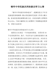 铸牢中华民族共同体意识学习心得