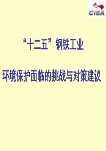 “十二五”钢铁工业环境保护面临的挑战与对策建议(简