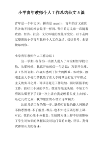 小学青年教师个人工作总结范文5篇