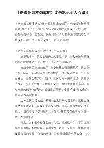 《钢铁是怎样炼成的》读书笔记个人心得5