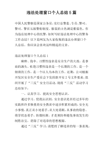 违法处理窗口个人总结5篇