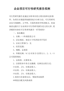 企业项目可行性研究报告范例