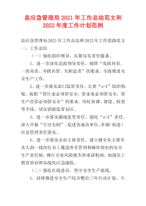 县应急管理局2021年工作总结范文和2022年度工作计划范例