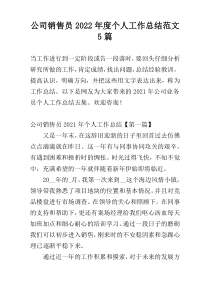 公司销售员2022年度个人工作总结范文5篇