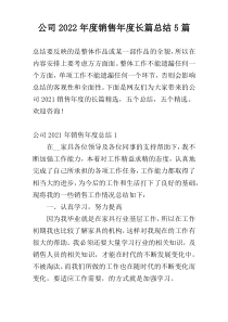 公司2022年度销售年度长篇总结5篇