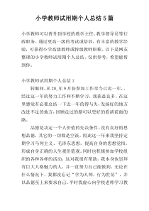 小学教师试用期个人总结5篇