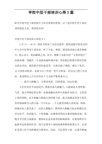 学校中层干部培训心得3篇