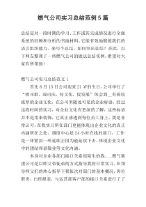 燃气公司实习总结范例5篇