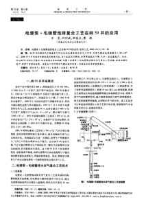 电潜泵+毛细管泡排复合工艺在纳59井的应用