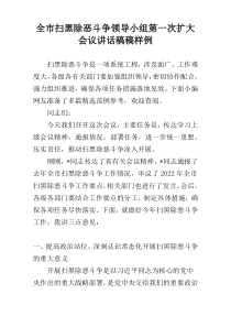 全市扫黑除恶斗争领导小组第一次扩大会议讲话稿稿样例