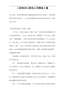 入职培训心得怎么写精选5篇