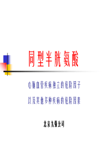 同型半胱氨酸-10月23日会议