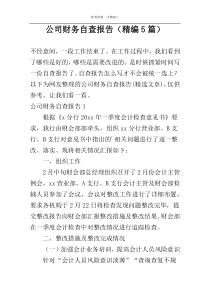 公司财务自查报告（精编5篇）