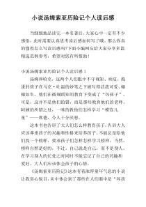 小说汤姆索亚历险记个人读后感