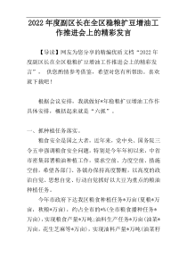 副区长在全区稳粮扩豆增油工作推进会上的精彩发言稿2022年度