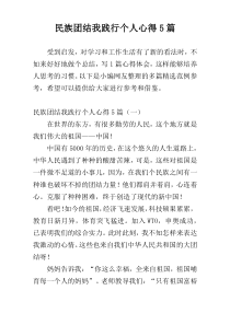 民族团结我践行个人心得5篇