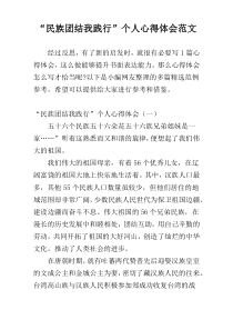 “民族团结我践行”个人心得体会范文