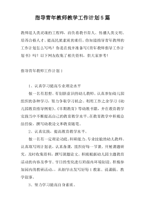 指导青年教师教学工作计划5篇